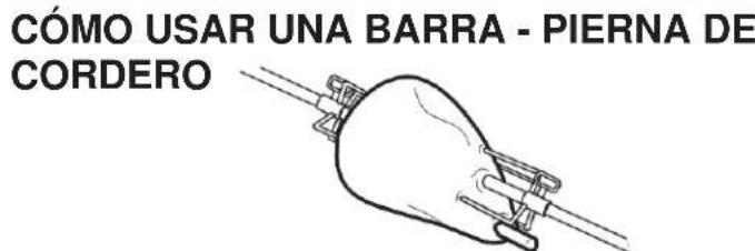 Broil King Regal S 420 Pro - CÓMÖ UTILIZAR UN TERMÖMETRO DE SONDA - 2