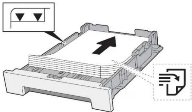 KYOCERA Ecosys M5526cdn - Charger du papier. - 1