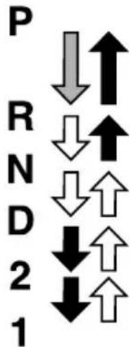 MAZDA MX5 (2004) - Témoin de plage - 1