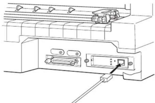 EPSON VP2300 - ● ネットワーク接続 - 2