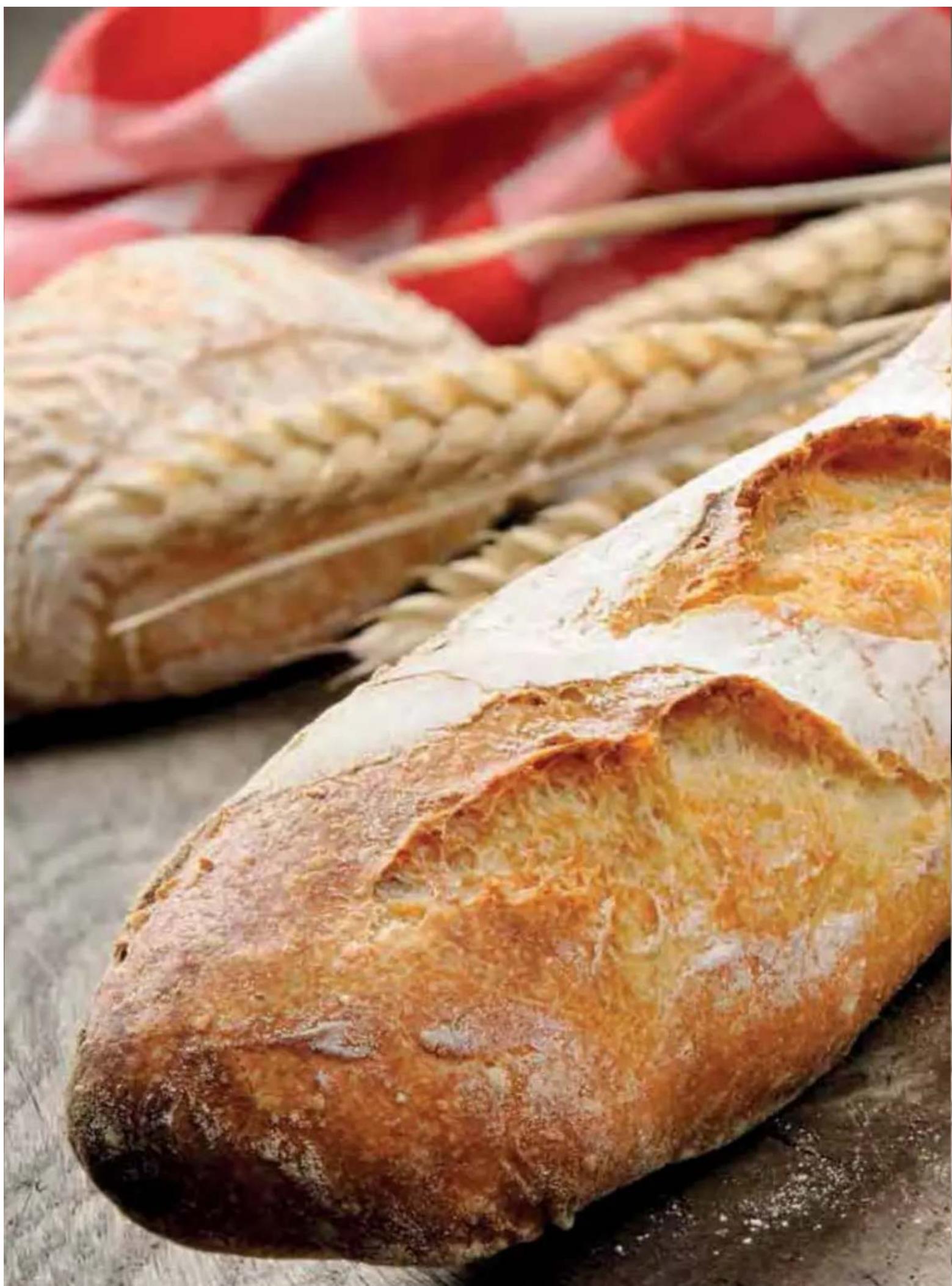 MAGIMIX 18631F - baguettes - 2