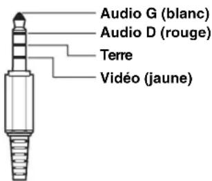 ALPINE X800DML - Mini-fiche AV 4-pôles usable - 1