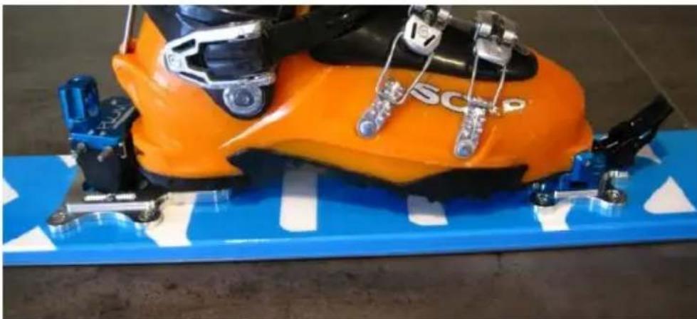 Plum Yak - TALONNIERE - 1