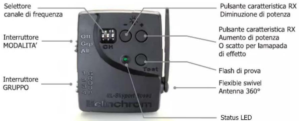 Elinchrom DLite RX 24 - Connettore di caldo-scarpa con la Vite-Serratura - 2