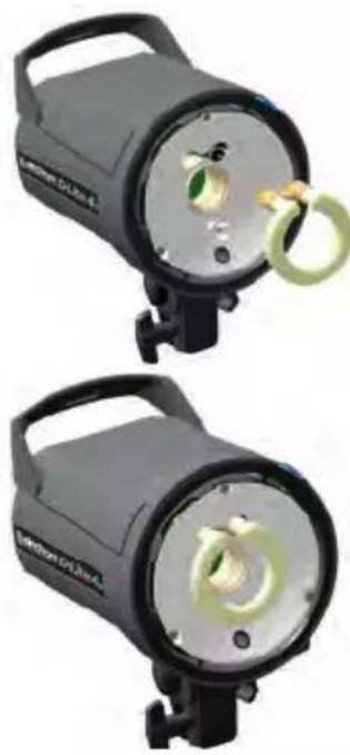 Elinchrom DLite RX 24 - Pour remplacer le tube - 1