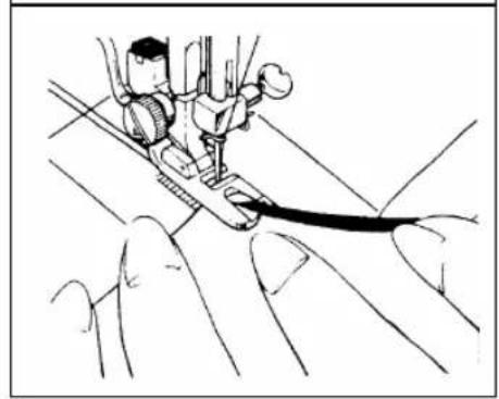 Victoria FY812 - Zomen - 3