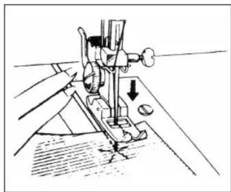 Victoria FY812 - Nähbeginn - 1