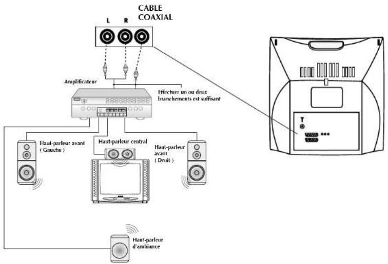 Magnum TVDVD 5561 - BRANCHEMENTS DES SORTIES AUDIO DU DVD - 1