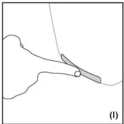 Maybaum Caldero TO 550 - BROODJESREK - 2