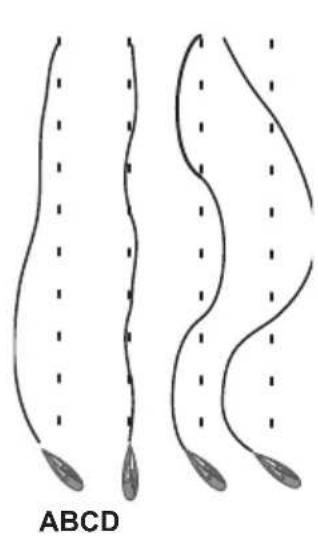 SIMRAD TP32 - Mode Étalandnage - 1