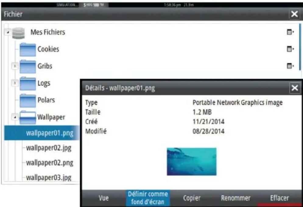 SIMRAD GO7 - Personnalisation de l'arrière-plan de la page d'accueil - 2