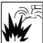 Miller Matic 252 - ARC RAYS can burn eyes and skin. - 1