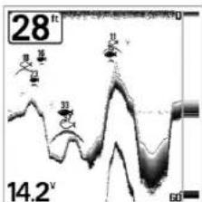 HUMMINBIRD Matrix 20 - Sensibilité (Sensitivity) - 2