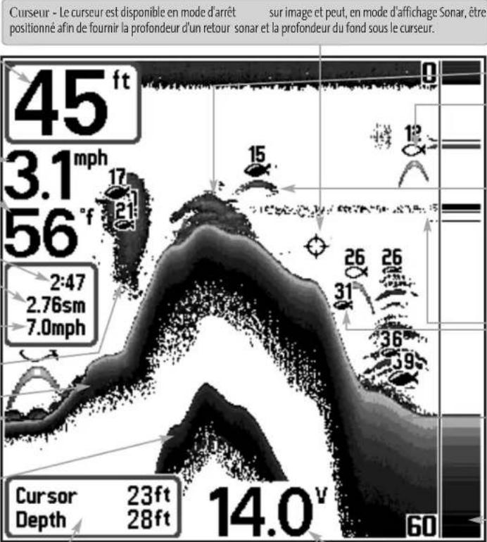 HUMMINBIRD Matrix 20 - Representations à l'écran - 1