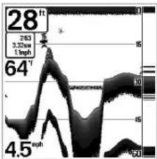 HUMMINBIRD Matrix 20 - Affichage du fond - 2