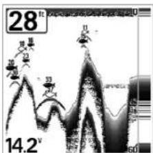 HUMMINBIRD Matrix 20 - Sensibilité (Sensitivity) - 3