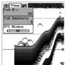 HUMMINBIRD Matrix 10 - Fenêtre sonar en temps réel (RTS) - 3