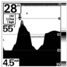 HUMMINBIRD Matrix 10 - Affichage du fond - 5