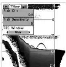 HUMMINBIRD Matrix 10 - Fenêtre sonar en temps réel (RTS) - 1
