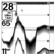 HUMMINBIRD Matrix 10 - Affichage du fond - 4