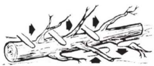 FLORABEST FKS 2200 E3 - DE AT CH - 11