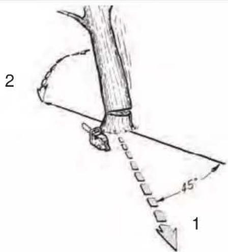 FLORABEST FKS 2200 E3 - DE AT CH - 12