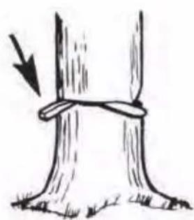 FLORABEST FKS 2200 E3 - DE AT CH - 14