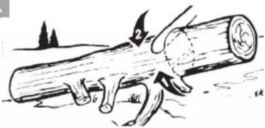 FLORABEST FKS 2200 G4 - ELECTRIC CHAINSAW - 3