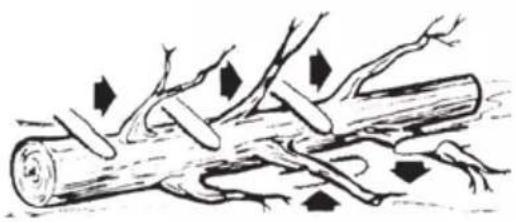 FLORABEST FKS 2200 G4 - ELECTRIC CHAINSAW - 6