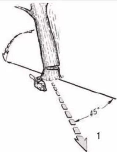 FLORABEST FKS 2200 G4 - ELECTRIC CHAINSAW - 7