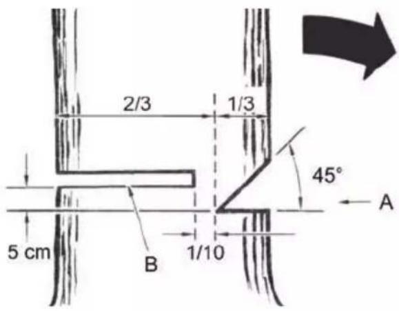 FLORABEST FKS 2200 G4 - ELECTRIC CHAINSAW - 8