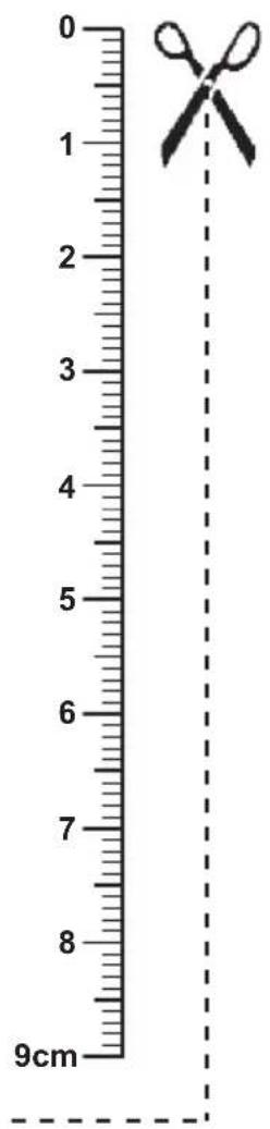 Ordex IAN 31211 - 3