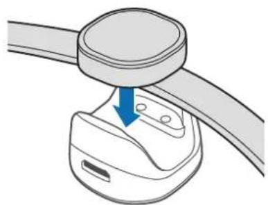 SAMSUNG Galaxy Smart Charm EIAN920 - Identification of indicatorlys - 1