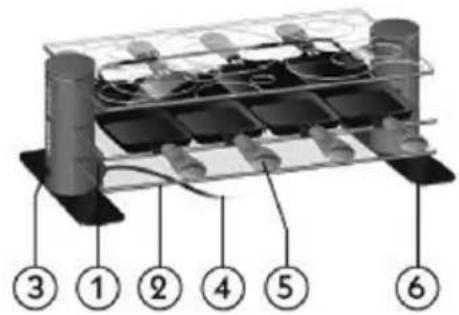 Maybaum Glass Raclette R8 - Raclette 8 - 2