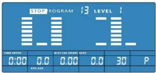 Energetics Exercise Monitor E204 - Programul utilizator (P13) - 1