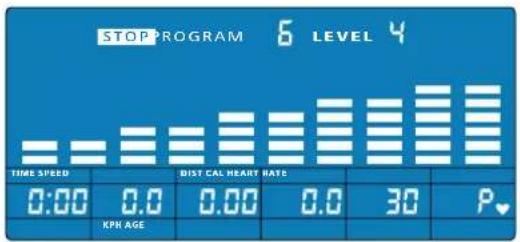 Energetics Exercise Monitor E204 - Passhöhe (P 6) - 1