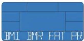 Energetics Exercise Monitor E105 - MI-BMR-grasso corporeo - 1