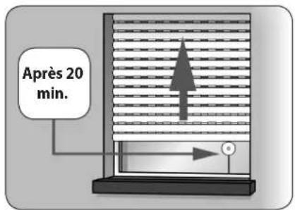 Superrollo GW245 - Montée automatique - 3