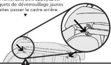 Burley Honey Bee - temarque - 3