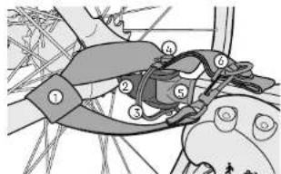 Burley Honey Bee - Axe traversant: - 2