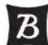 Burley Honey Bee - IMPORTANT - 1