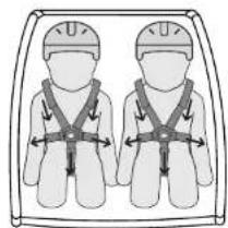 Burley Honey Bee - AVERTISSMENT - 1