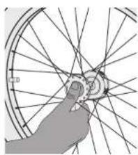 Burley Honey Bee - Attaching &amp; Removing the Wheels - 2