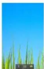 ARCHOS Arnova 7C G2 - The extended Home screen - 1