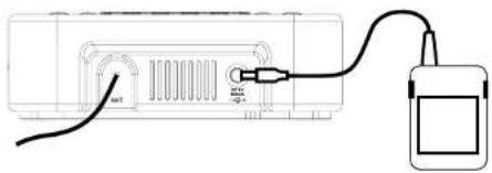 SANGEAN DCR89 Plus - IMPORTANT: - 1