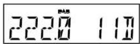 SANGEAN DCR89 Plus - Modes d'affichage - DAB - 26