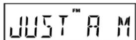 SANGEAN DCR89 Plus - Hinweis: - 4