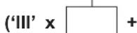 Oertli GMR 5065 Condens - Contribution solaire - 2