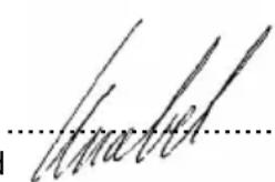 Wamsler Zurich - Wamsler Haus- und Küchentechnik GmbH 11 EG-Konformitätserklärung - 1