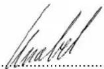 Wamsler Zurich - Dichiarazione di conformità CE - 1